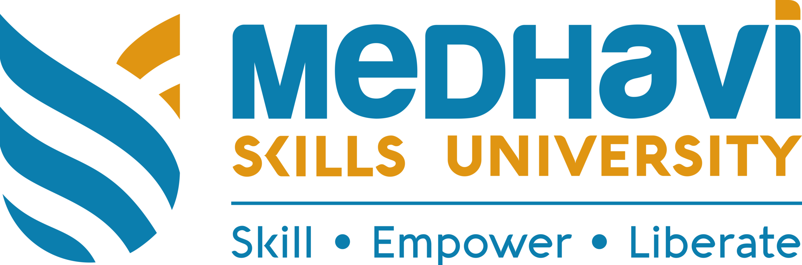 Medhavi Skills University